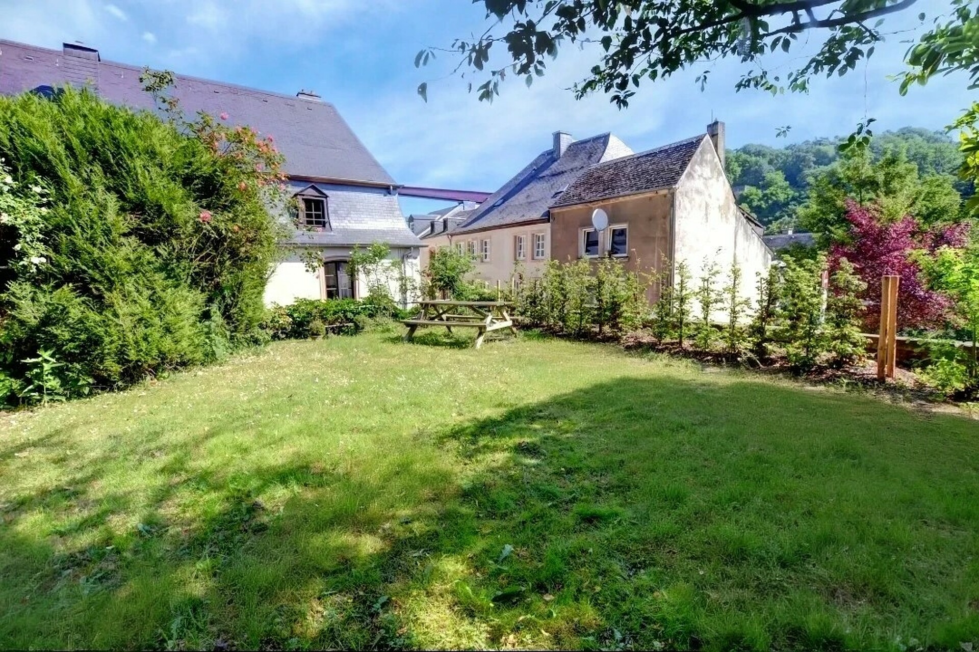 Image 11